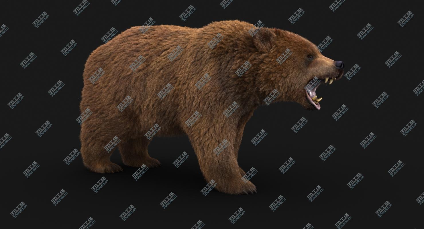 images/goods_img/20210114/3D model Bear (3) (FUR)/3.jpg